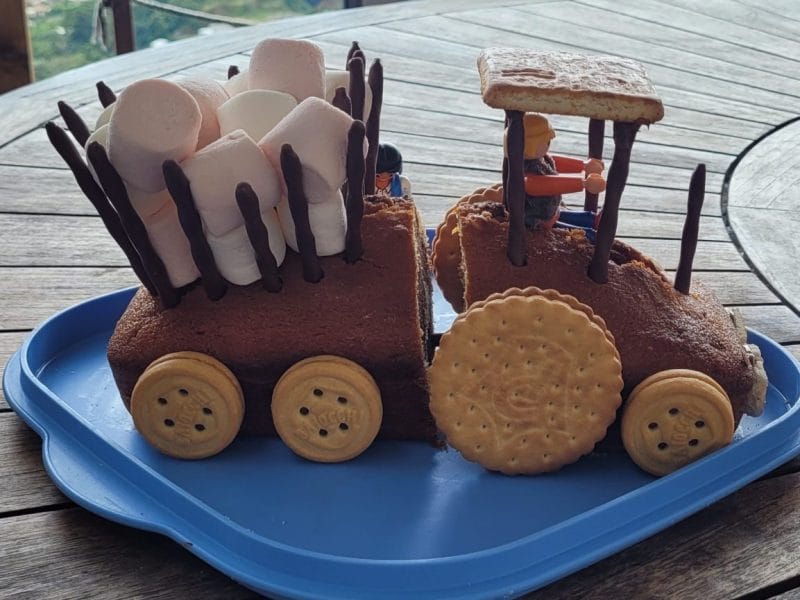 Cliquez pour zoomer ! Marbré au chocolat Thermomix par poule57