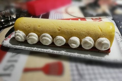 Cliquez pour zoomer ! Bûche glacée mangue et framboise Thermomix par polinou