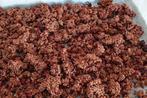 Cliquez pour zoomer ! Granola au chocolat au Thermomix