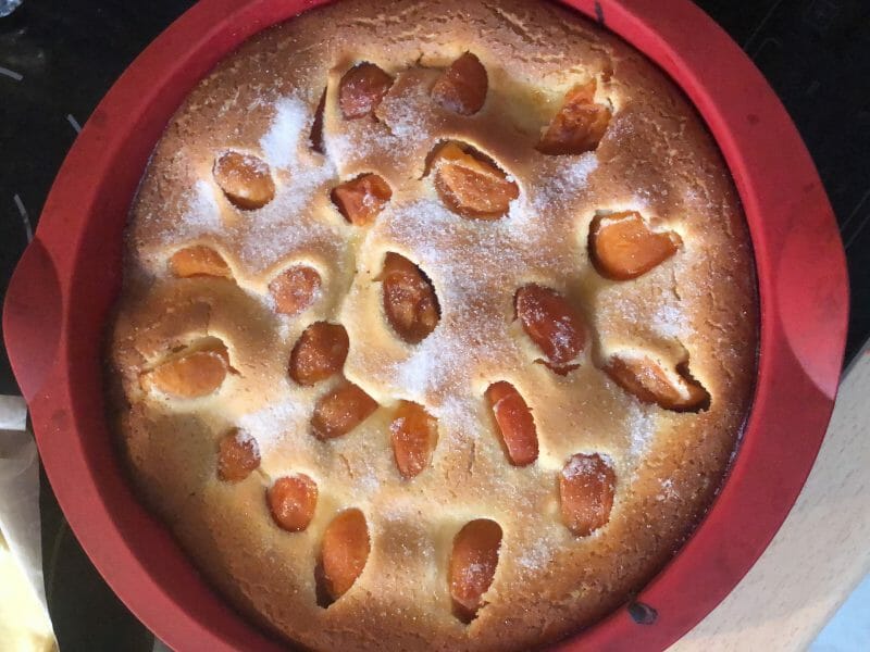 Cliquez pour zoomer ! Far aux abricots Thermomix par luciefurt