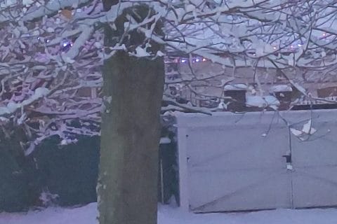 Cliquez pour zoomer ! Gâteau à la semoule et aux pommes Thermomix par MaPicardie