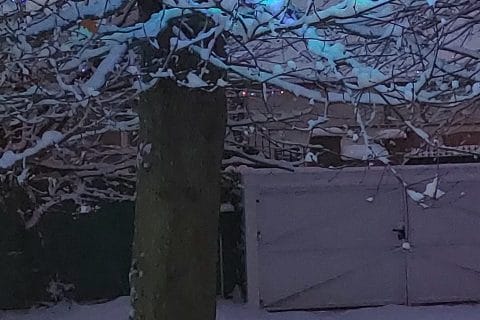 Cliquez pour zoomer ! Gâteau à la semoule et aux pommes Thermomix par MaPicardie