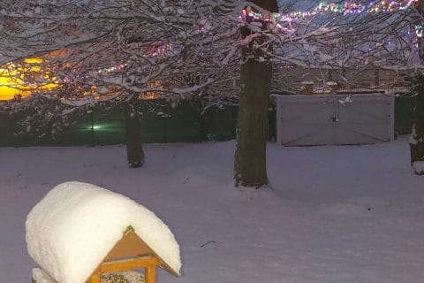 Cliquez pour zoomer ! Gâteau à la semoule et aux pommes Thermomix par MaPicardie