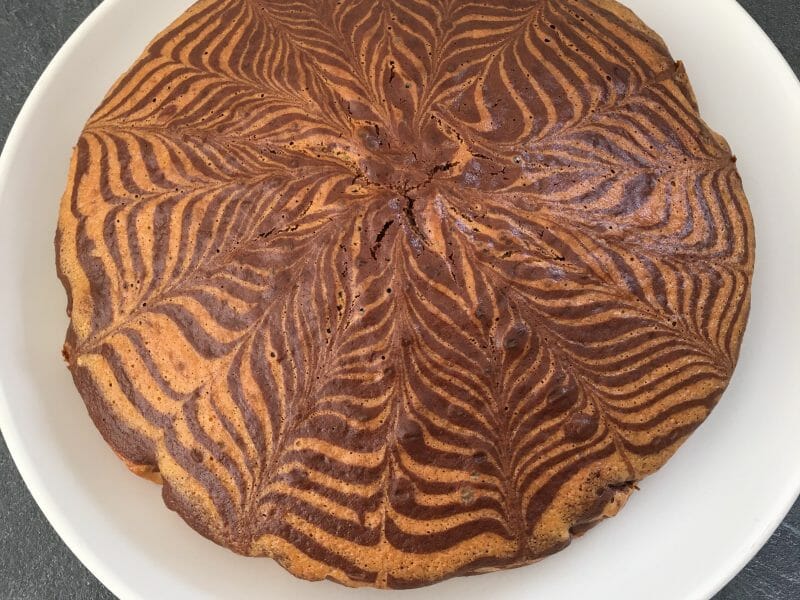 Cliquez pour zoomer ! Gâteau zébré Thermomix par melromax