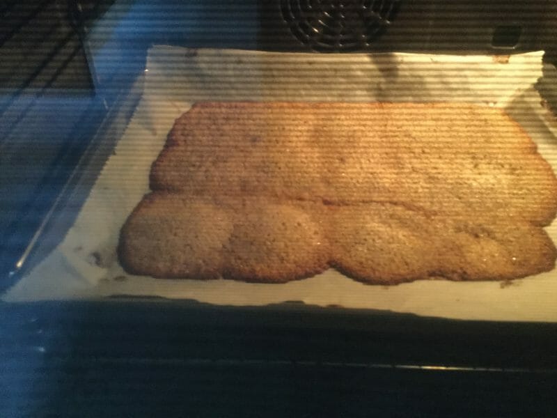 Cliquez pour zoomer ! Noisettins Thermomix par lucalycia1