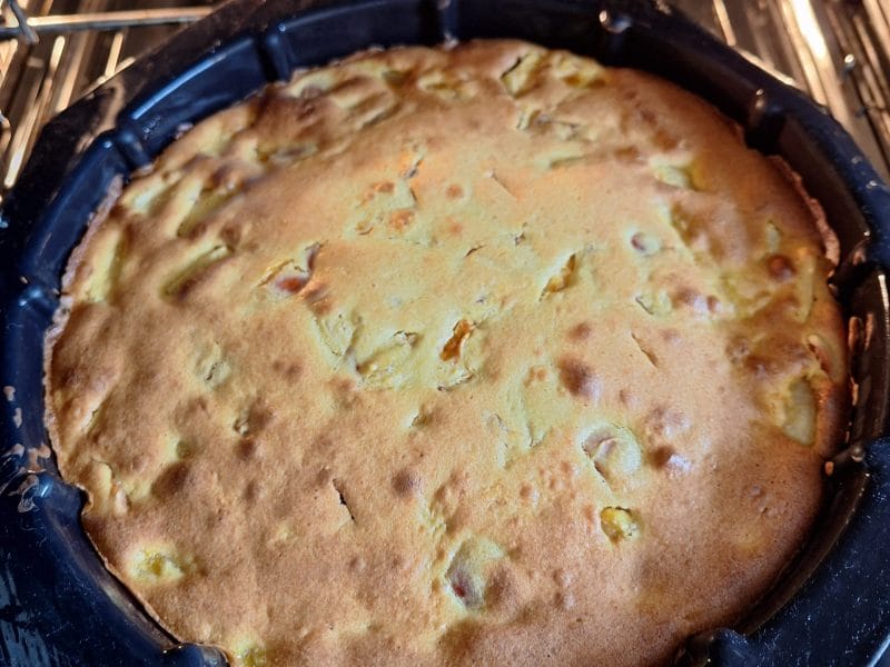 Cliquez pour zoomer ! Cake aux abricots Thermomix par mounelly