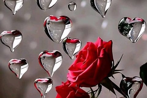 Cliquez pour zoomer ! Photo de mounelly