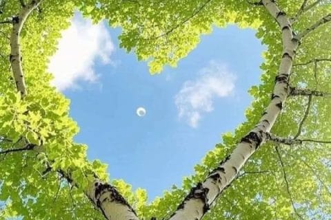 Cliquez pour zoomer ! Photo de mounelly