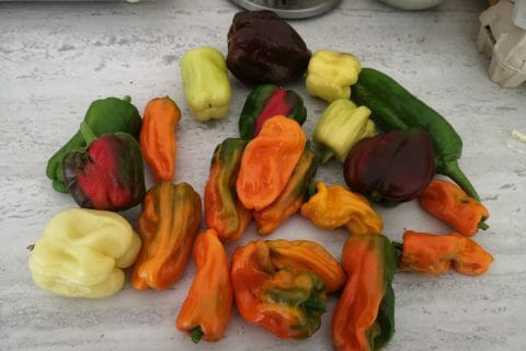 Cliquez pour zoomer ! Coulis de poivrons rouges Thermomix par cam-kikii