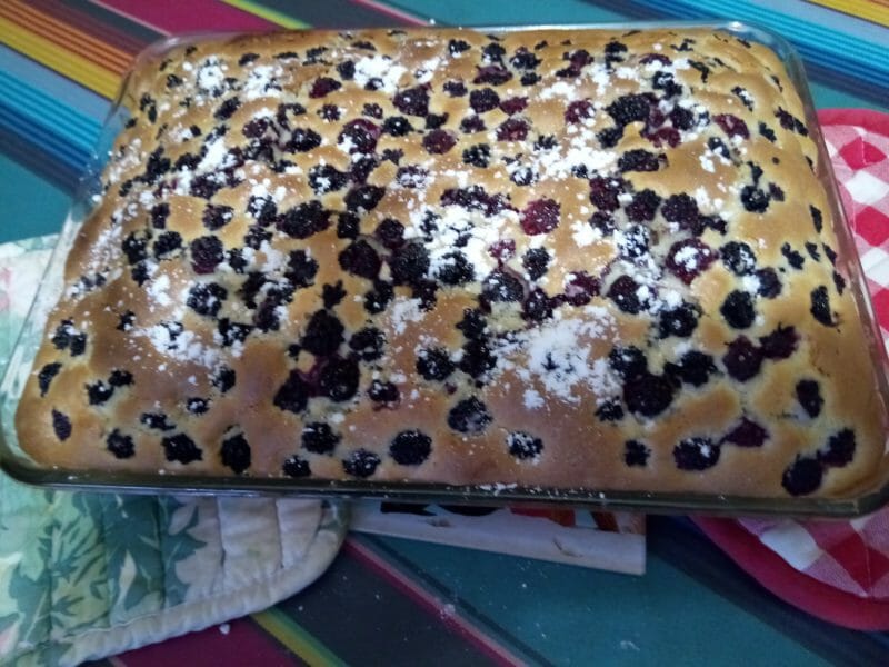 Cliquez pour zoomer ! Bublanina aux fruits rouges Thermomix par domi_1