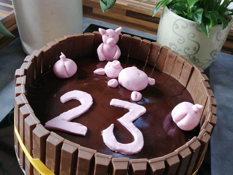 Cliquez pour zoomer ! La mare aux cochons Thermomix par chefmariom