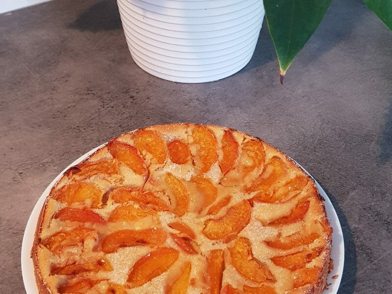 Cliquez pour zoomer ! Far aux abricots Thermomix par amandine2412