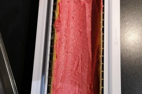 Cliquez pour zoomer ! Bûche glacée mangue et framboise Thermomix par aurelie_90