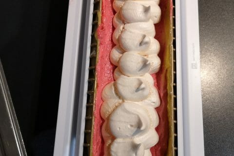 Cliquez pour zoomer ! Bûche glacée mangue et framboise Thermomix par aurelie_90