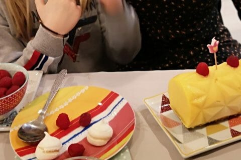 Cliquez pour zoomer ! Bûche glacée mangue et framboise Thermomix par aurelie_90