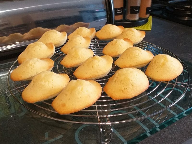 Cliquez pour zoomer ! Madeleines Thermomix par cocorette