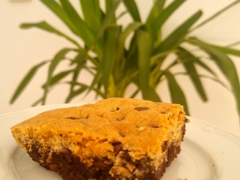 Cliquez pour zoomer ! Brookie Thermomix par sjcooks