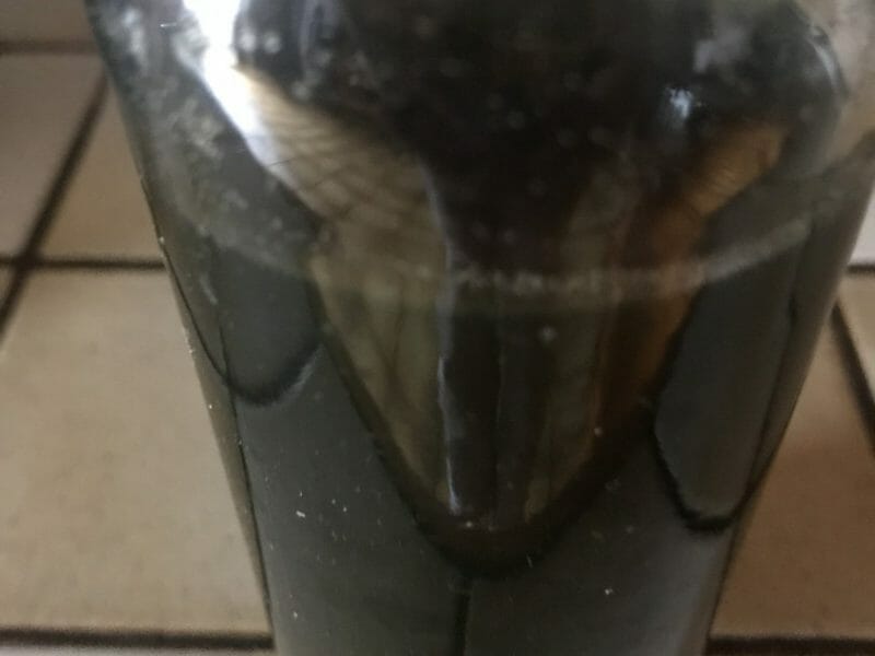 Cliquez pour zoomer ! Sirop de menthe Thermomix par patoux54