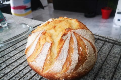 Cliquez pour zoomer ! Pain Cocotte Thermomix par houda_5