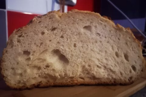 Cliquez pour zoomer ! Photo de houda_5