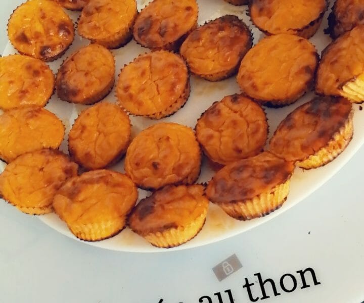 Cliquez pour zoomer ! Bouchées au thon Thermomix par wa