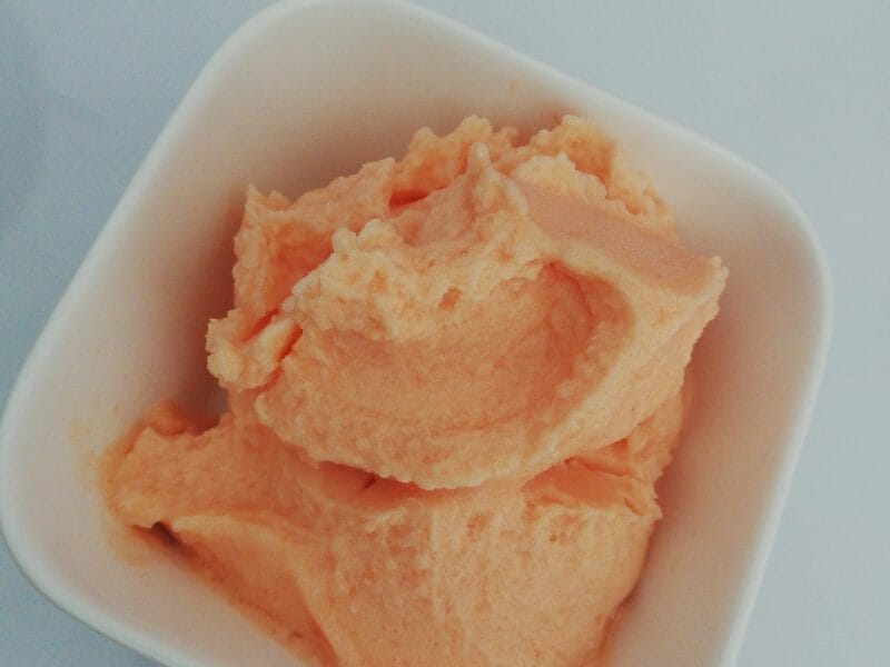 Sorbet melon au Thermomix Cookomix