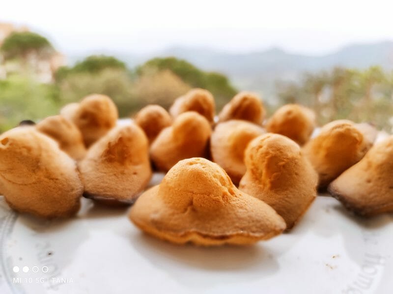 Cliquez pour zoomer ! Madeleines Thermomix par TaniaNia