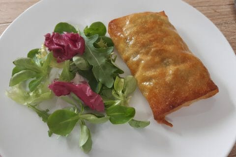 Cliquez pour zoomer ! Brick de saumon et poireaux Thermomix par pl40230