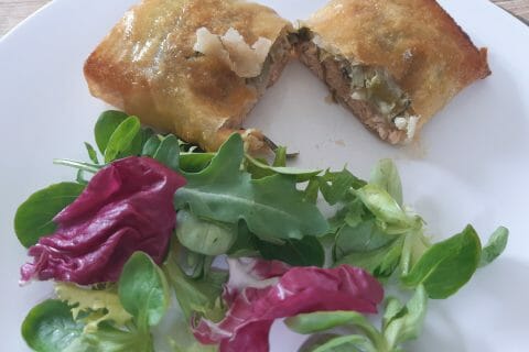 Cliquez pour zoomer ! Brick de saumon et poireaux Thermomix par pl40230