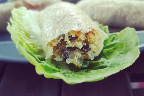 Cliquez pour zoomer ! Nems au poulet Thermomix par pl40230