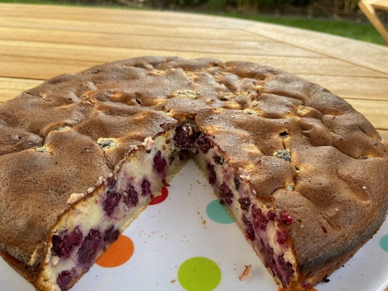 Cliquez pour zoomer ! Clafoutis aux mûres sauvages Thermomix par aurore44