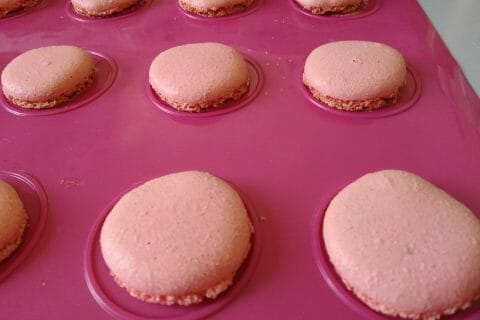 Cliquez pour zoomer ! Macarons Thermomix par Fabienne0162