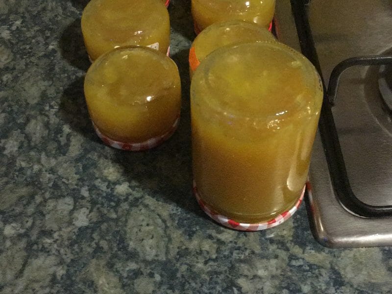 Confiture de mangue au Thermomix - Cookomix