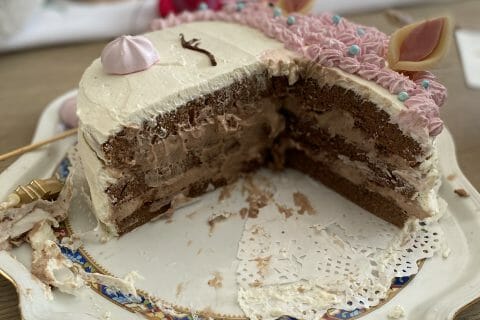 Cliquez pour zoomer ! Génoise au chocolat Thermomix par megannedelattre