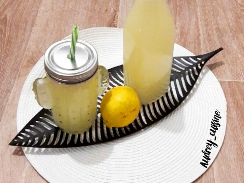 Cliquez pour zoomer ! Citronnade Thermomix par audrey_12