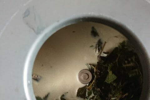 Cliquez pour zoomer ! Glace menthe-chocolat Thermomix par melinmel