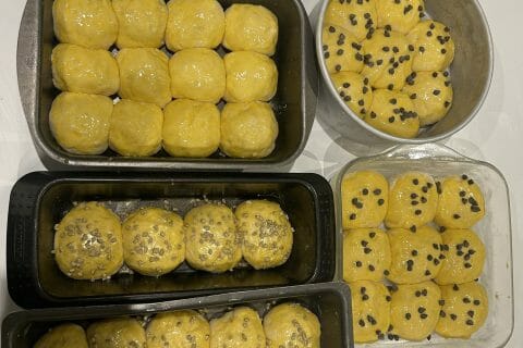 Cliquez pour zoomer ! Brioche Buchty Thermomix par stef13130