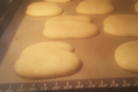 Cliquez pour zoomer ! Spritz Thermomix par liling