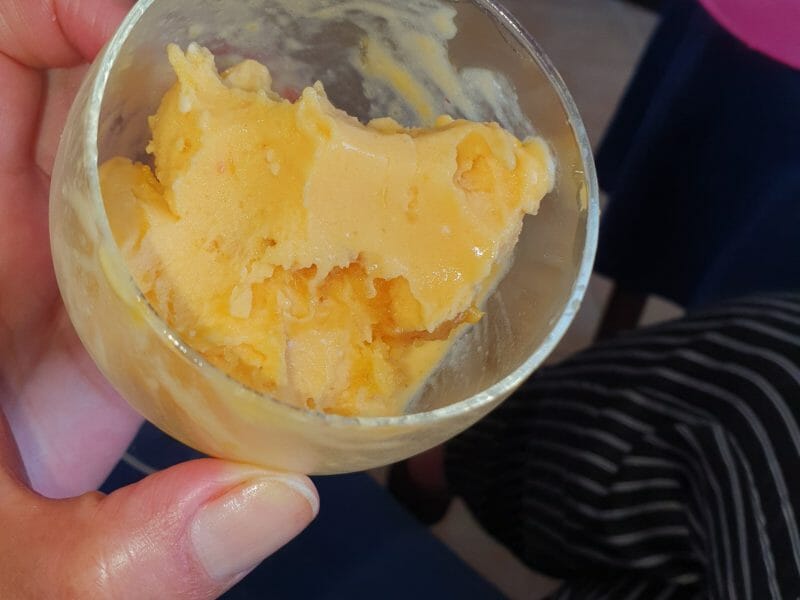 Cliquez pour zoomer ! Glace mangue coco Thermomix par painetchocolat