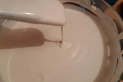 Cliquez pour zoomer ! Bavarois Mojito Thermomix par alili