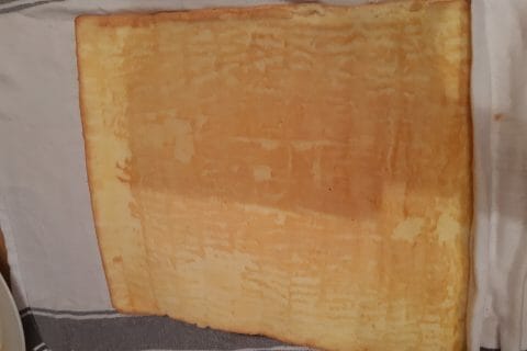 Cliquez pour zoomer ! Roulé à la mangue Thermomix par alili