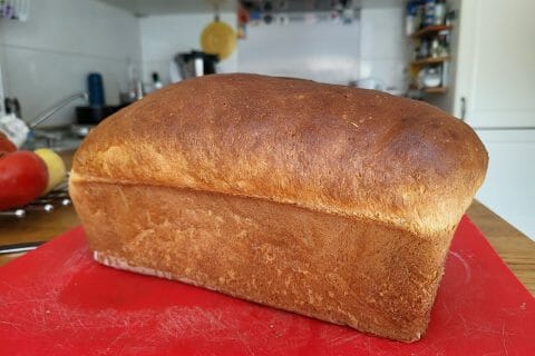 Cliquez pour zoomer ! Brioche Buchty Thermomix par bertrandv1