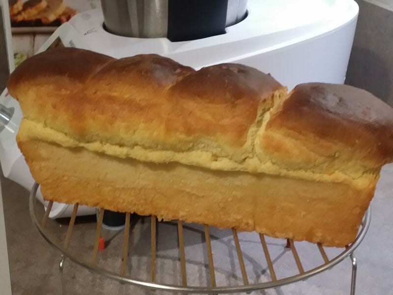 Cliquez pour zoomer ! Brioche vaporeuse Thermomix par pat13