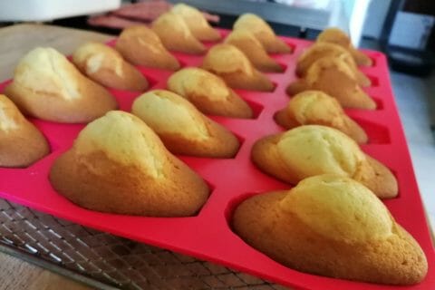 Cliquez pour zoomer ! Madeleines Thermomix par tartinepouki