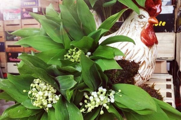 Cliquez pour zoomer ! Photo de tartinepouki Thermomix par tartinepouki