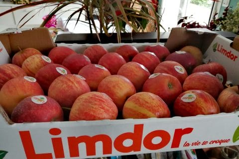 Cliquez pour zoomer ! Photo de tartinepouki