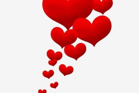 Cliquez pour zoomer ! Photo de tartinepouki