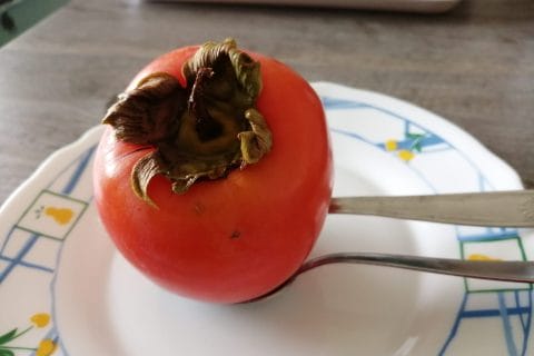 Cliquez pour zoomer ! Photo de tartinepouki