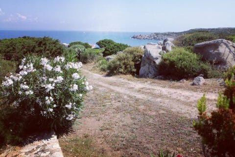 Cliquez pour zoomer ! Photo de tartinepouki