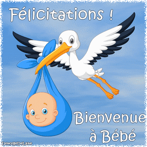 Cliquez pour zoomer ! Photo de tartinepouki